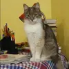 Отзыв от Нелли Румянцева